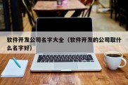 软件开发公司名字大全（软件开发的公司取什么名字好）