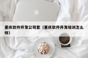 重庆软件开发公司套（重庆软件开发培训怎么样）