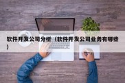 软件开发公司分析（软件开发公司业务有哪些）