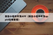 微信小程序开发APP（微信小程序开发appid在哪里看）