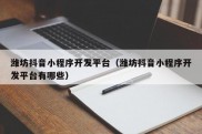 潍坊抖音小程序开发平台（潍坊抖音小程序开发平台有哪些）