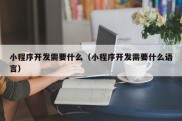 小程序开发需要什么（小程序开发需要什么语言）