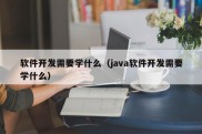 软件开发需要学什么（java软件开发需要学什么）