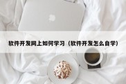 软件开发网上如何学习（软件开发怎么自学）