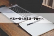 宁夏seo优化哪家强（宁夏mcn）