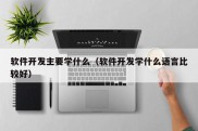 软件开发主要学什么（软件开发学什么语言比较好）