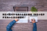 微信小程序开发用什么语言编程（微信小程序开发用什么语言编程好）