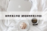 软件开发工作室（肥宅软件开发工作室）