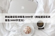 网站建设实训报告3000字（网站建设实训报告3000字范文）