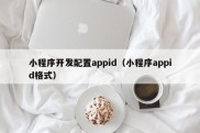 小程序开发配置appid（小程序appid格式）