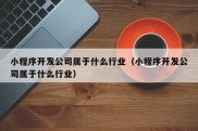 小程序开发公司属于什么行业（小程序开发公司属于什么行业）