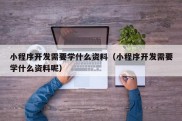 小程序开发需要学什么资料（小程序开发需要学什么资料呢）