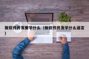 做软件开发要学什么（做软件开发学什么语言）