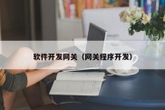 软件开发网关（网关程序开发）