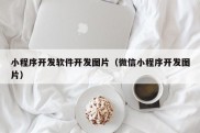 小程序开发软件开发图片（微信小程序开发图片）