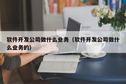 软件开发公司做什么业务（软件开发公司做什么业务的）