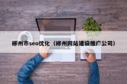 郴州市seo优化（郴州网站建设推广公司）