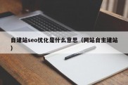 自建站seo优化是什么意思（网站自主建站）