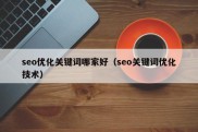 seo优化关键词哪家好（seo关键词优化技术）