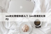 seo优化教程快速入门（seo常用优化技巧）