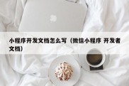 小程序开发文档怎么写（微信小程序 开发者文档）