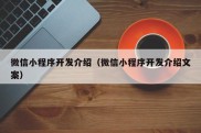 微信小程序开发介绍（微信小程序开发介绍文案）