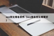 seo优化排名软件（seo排名优化哪里好）