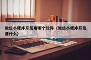 微信小程序开发用哪个软件（微信小程序开发用什么）