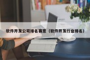 软件开发公司排名赛意（软件开发行业排名）