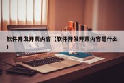 软件开发开票内容（软件开发开票内容是什么）