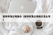 软件开发公司简介（软件开发公司简介怎么写）