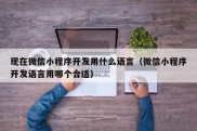 现在微信小程序开发用什么语言（微信小程序开发语言用哪个合适）