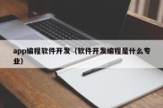 app编程软件开发（软件开发编程是什么专业）