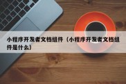 小程序开发者文档组件（小程序开发者文档组件是什么）