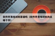 软件开发培训班靠谱吗（软件开发培训机构去哪个学）