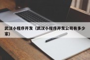 武汉小程序开发（武汉小程序开发公司有多少家）