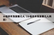 小程序开发需要几人（小程序开发需要几人同意）