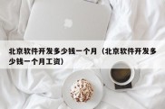 北京软件开发多少钱一个月（北京软件开发多少钱一个月工资）