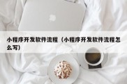 小程序开发软件流程（小程序开发软件流程怎么写）