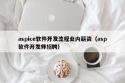 aspice软件开发流程业内薪资（asp软件开发师招聘）