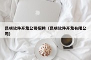 昆明软件开发公司招聘（昆明软件开发有限公司）