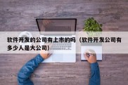 软件开发的公司有上市的吗（软件开发公司有多少人是大公司）