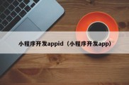 小程序开发appid（小程序开发app）