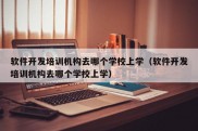 软件开发培训机构去哪个学校上学（软件开发培训机构去哪个学校上学）