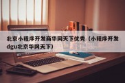 北京小程序开发商华网天下优秀（小程序开发dgu北京华网天下）